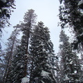 DSC02314