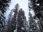 DSC02314