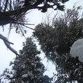 DSC02317