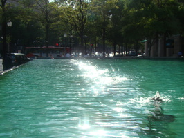 DSC02401
