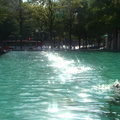 DSC02401