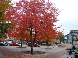 DSC03034