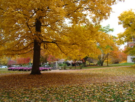 DSC03045