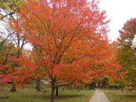 DSC03054