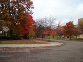 DSC03058