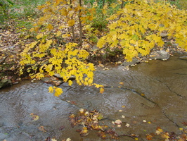 DSC03061
