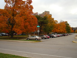 DSC03065