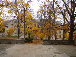 DSC03069