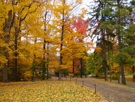 DSC03070