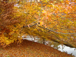 DSC03071