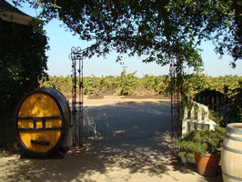 DSC02781