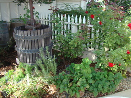 DSC02788