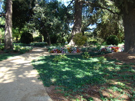 DSC02802