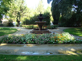 DSC02806