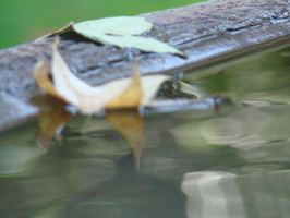 DSC02807