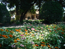 DSC02810