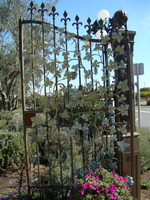 DSC02827