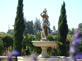 DSC02852