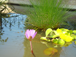 DSC02855