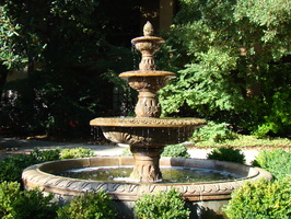 DSC02895