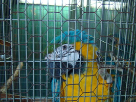 DSC02904