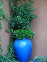 DSC02905