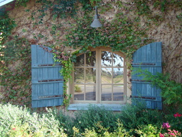 DSC02908