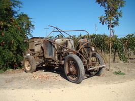 DSC02910