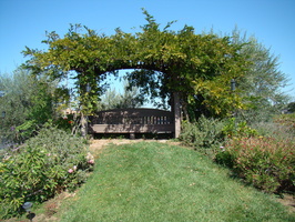 DSC02931