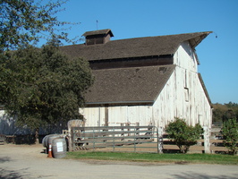 DSC02961