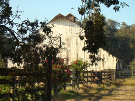 DSC02968