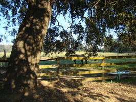 DSC02974