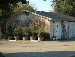 DSC02978