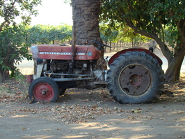DSC02979