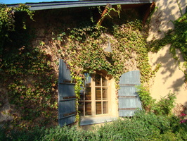 DSC02989