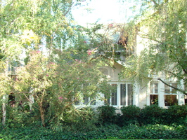 DSC02996