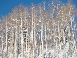 DSC03208