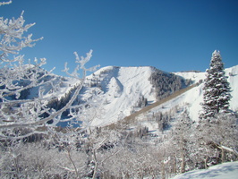 DSC03226