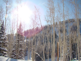 DSC03240