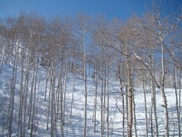 DSC03280