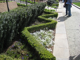 IMG 1478