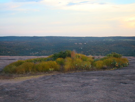 DSC03790