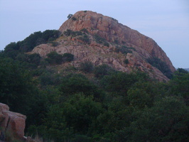 DSC03848