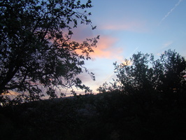 DSC03891