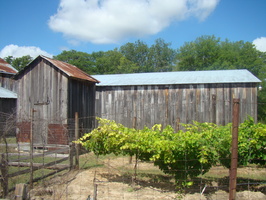 DSC03926