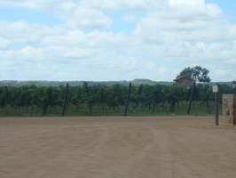 DSC03939