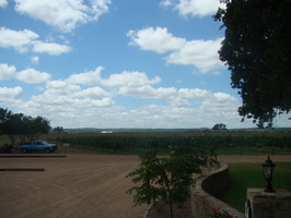 DSC03942