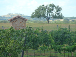 DSC03945