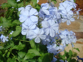 DSC03950