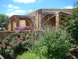 DSC03968
